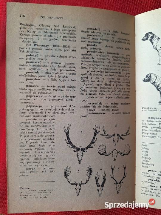 1000 Słow o łowiectwie Nowy Targ