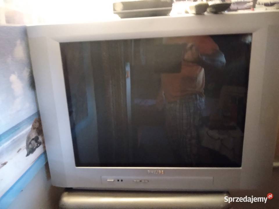 sprzedam telewizor Philips stereo z dekoderem i śląskie Rybnik
