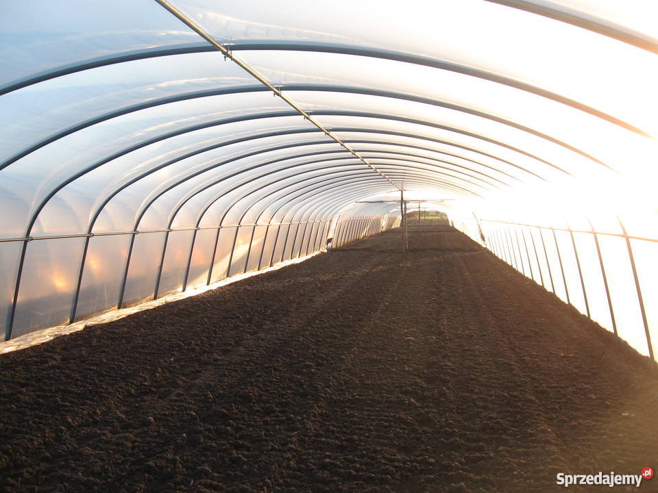 Tunele Foliowe Architektura ogrodowa Młodynie Dolne