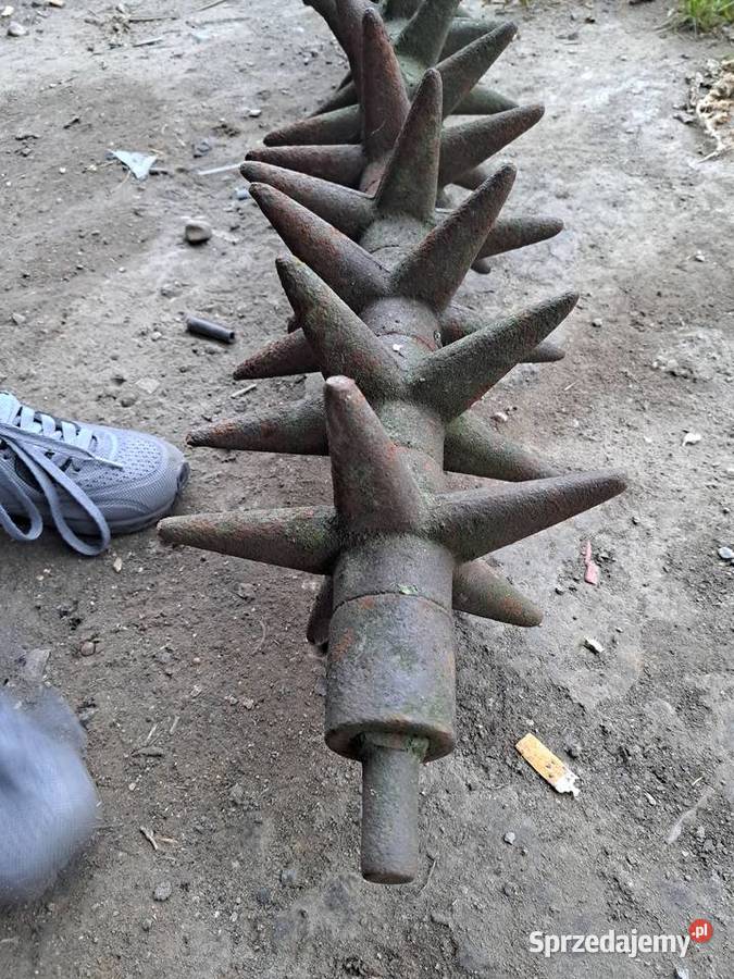 Kolczatkigwiazdy uprawowe do pługa Oława