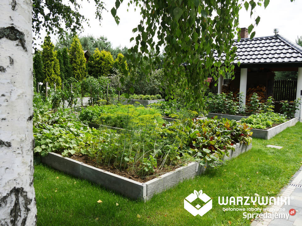 Skrzynia podwyższone grządki podwyższona donica Rzeszów sprzedam