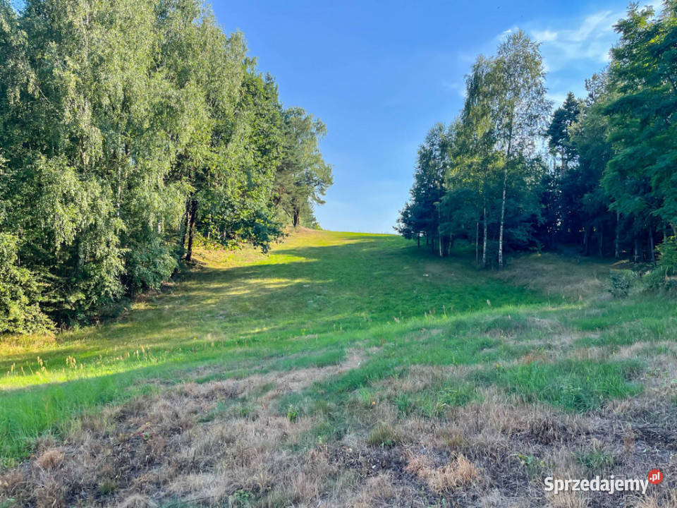 Działka budowlana 2000m2 Kuczów