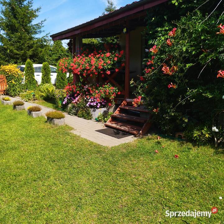 Sprzedam działkę ROD Bielany warmińsko-mazurskie Elbląg