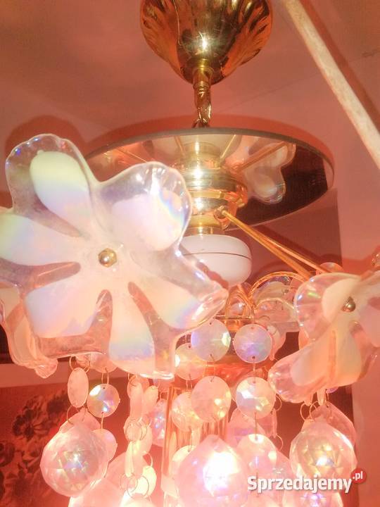 Przeurocza lampa sufitowa z lwdami Katowice