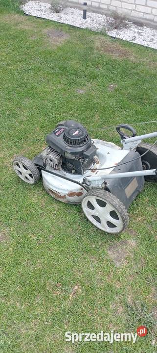 Kosiarka spalinowa lux tools Staszów