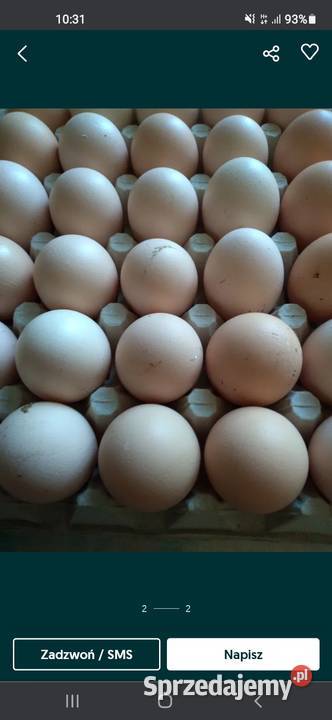 Sprzedam jajka ekologiczne wiejskie Delikatesy Brodnica