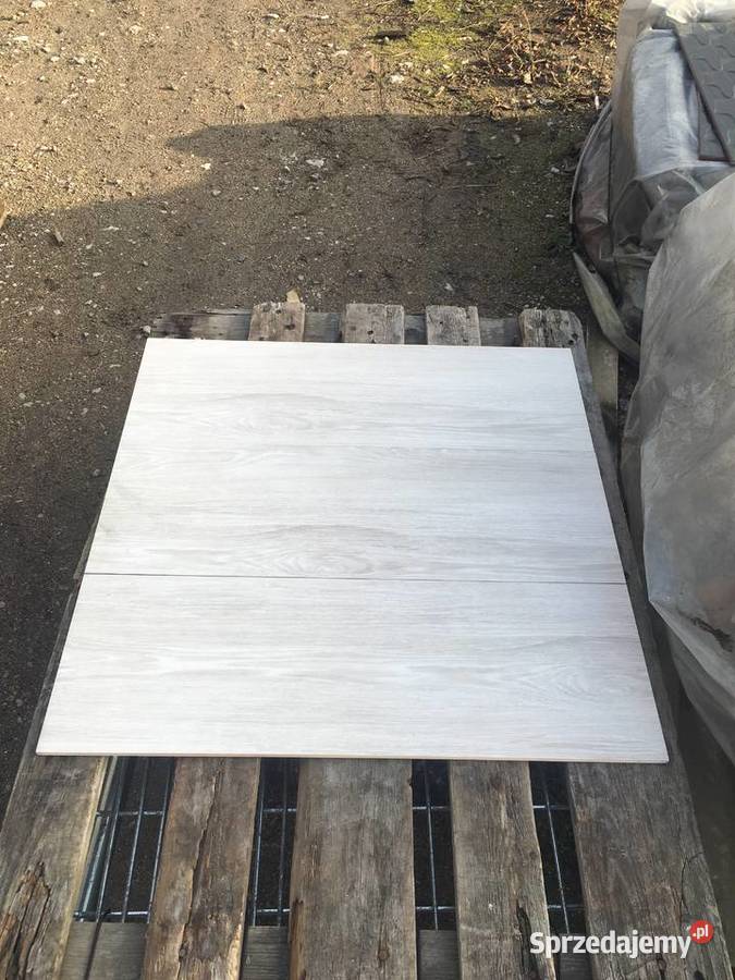 Glazura płytka ścienna elia crema 25x75 firmy Płytki ścienne Reguły