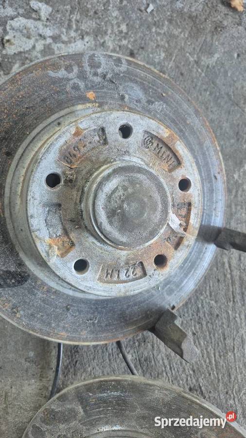 Tarcze ył Reno scenik megan laguna Myszków