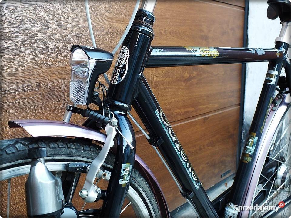 Rower męski Gazelle Orange Frankie 61 XL koła 28 Żary