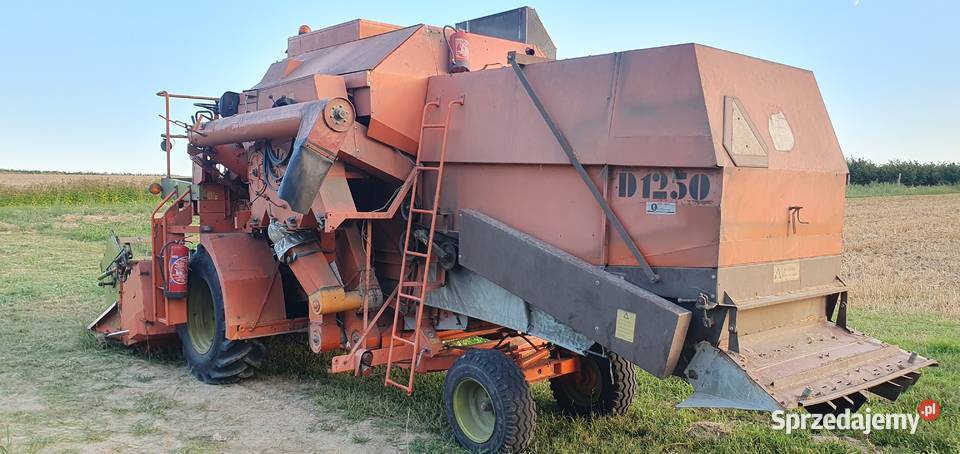 Dronningborg d1250 Stryjno-Kolonia