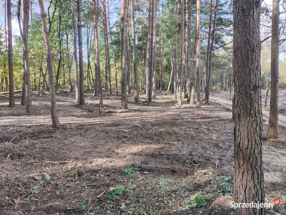 Działki budowlane 10 Płońska mazowieckie