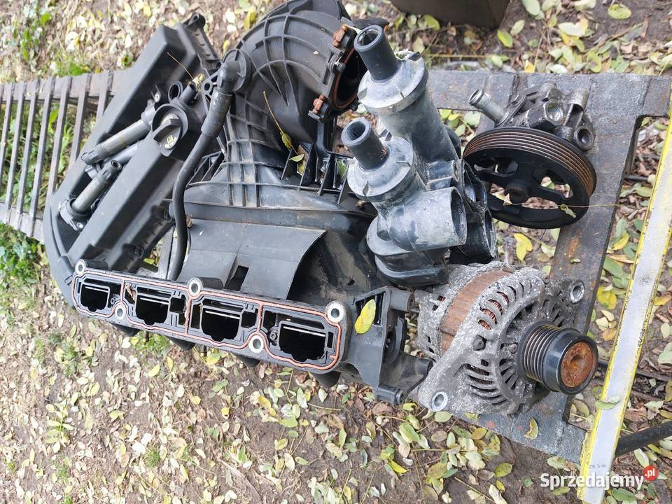 Didge Caliber Alternator łódzkie Kutno