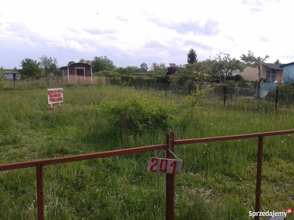 Ogrody Działkowe Przylesie 500m2 Grunty i działki Sulechów