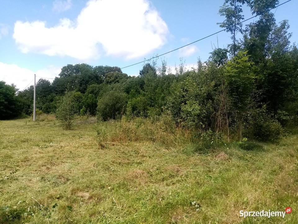 DZIAŁKA ROLNA IVa Z WIDOKIEM NA GÓRY 5000m2 Świecie