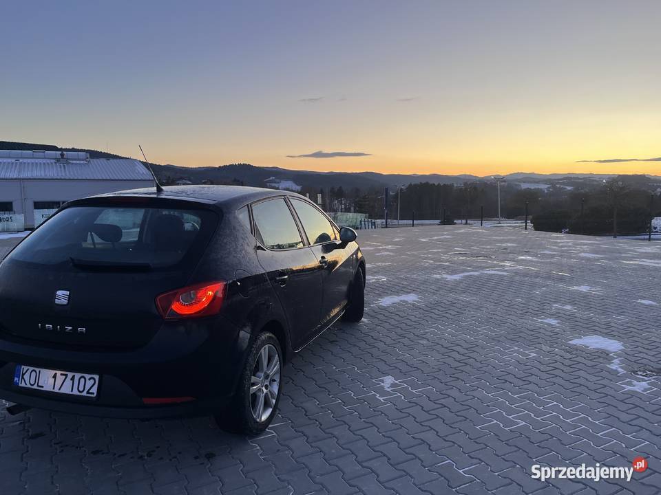 2008 SEAT ibiza Ibiza Nowy Sącz