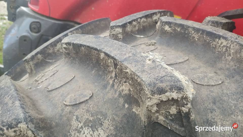 Massey Ferguson 6480 Sprowadzony SISU 7800MTH Jabłonna Druga