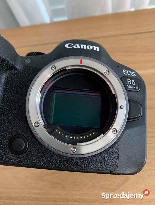 Canon EOS R6 Mark II korpus aparatu Wiatrołuża Druga