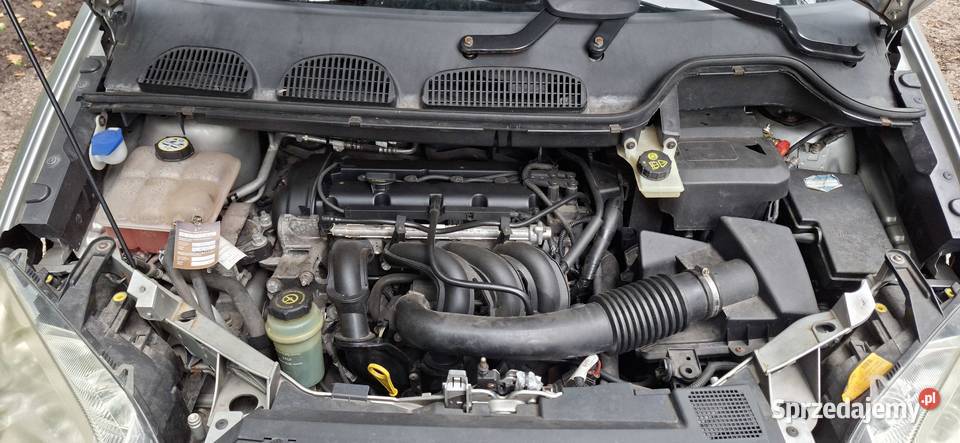 dzis sprzedam forda focus mac 16 bezyna 2005r Focus Strzelno