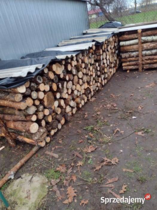Sprzedam drzewo na metry Przeradz Wielki