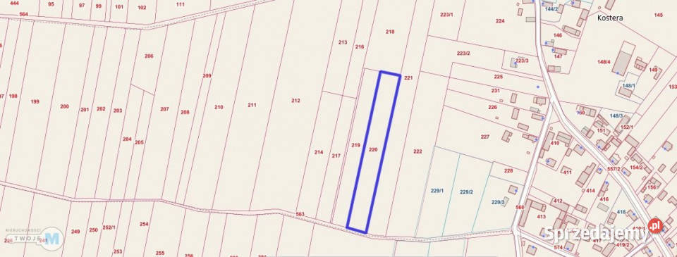 sprzedaży działki Gnojno 5800m2 12zł/m2 Sprzedaż