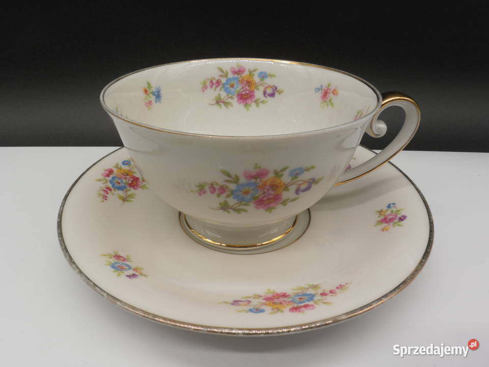 Filiżanka porcelanowa Tirschenreuth Raszków