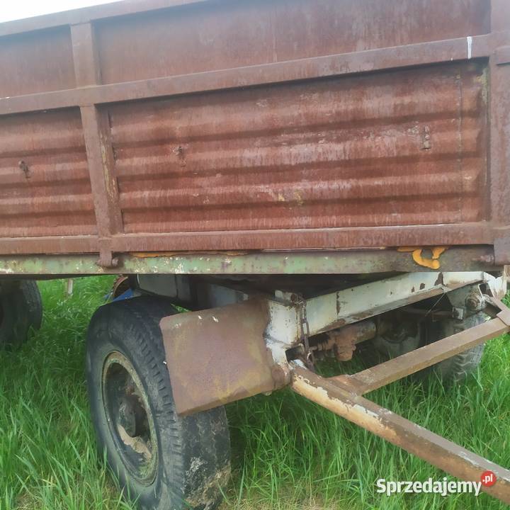 Przyczepa rolnicza D55 Pniówek