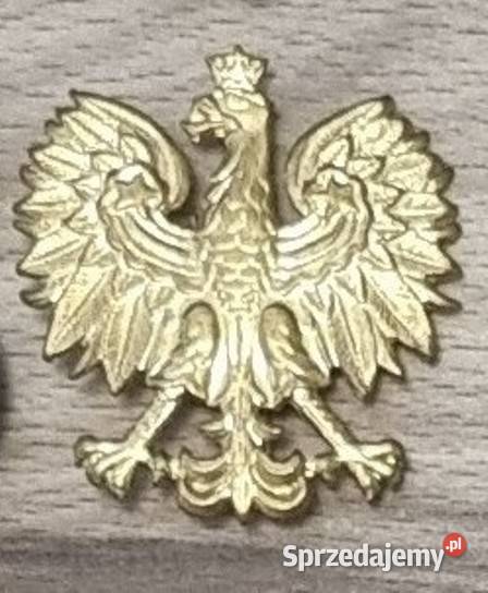 Orzeł Orzełek Orzełki Czapkowe Marynarka Wojenna śląskie Sosnowiec