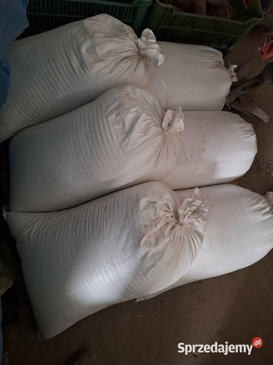 Gorczyca biała Gracja centrali oczyszczona Suchodoły