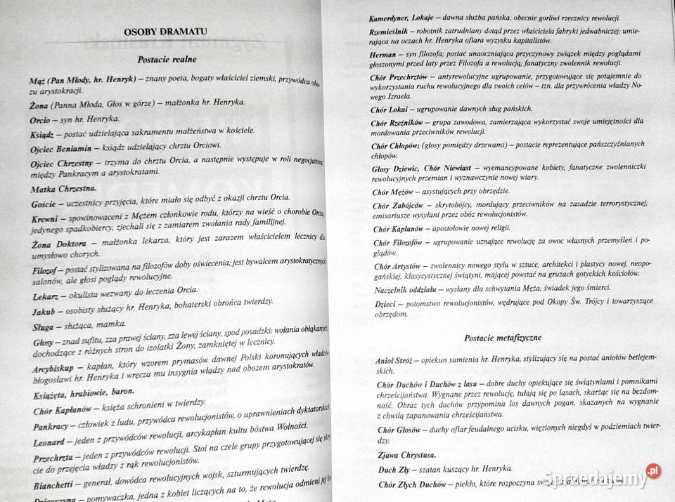 NieBoska komedia Lektura z opracowaniem Zygmunt Chełm