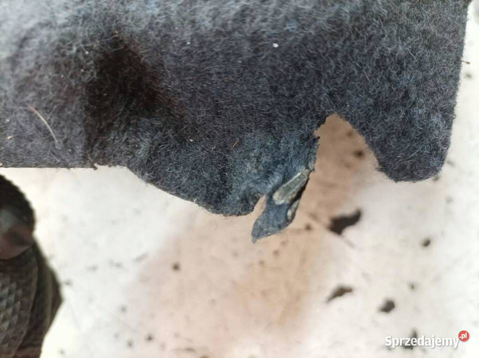 PÓŁKA TYLNA 5D Dacia Sandero I 20082012 świętokrzyskie