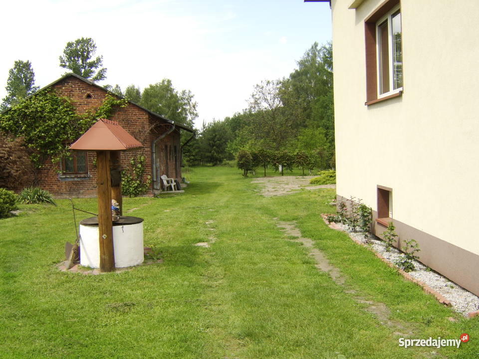 dom internet Radomsko