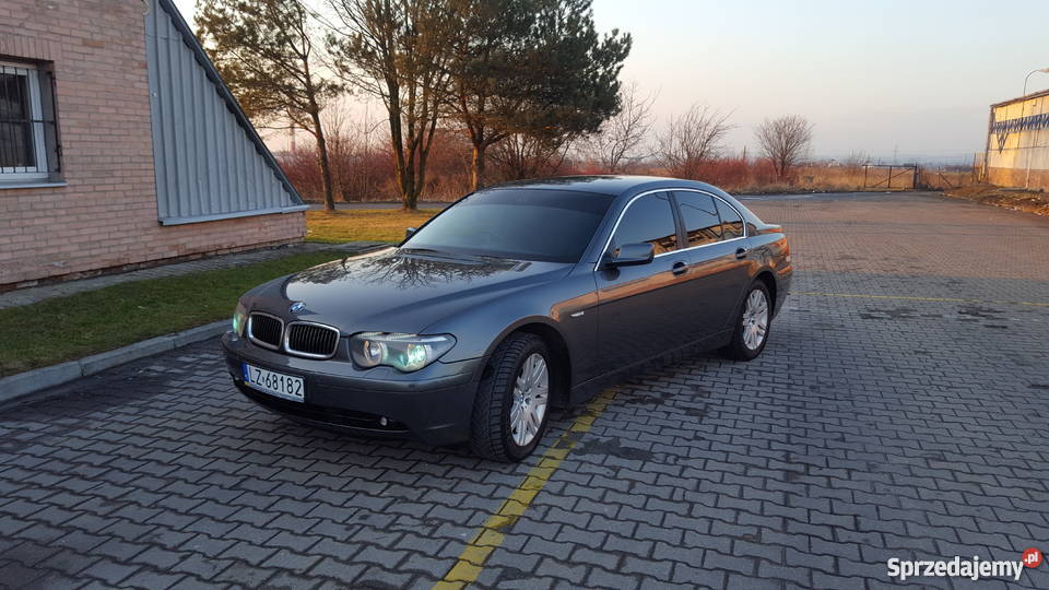 E65 Zarejstrowany Anglik radio Samochody osobowe lubelskie Zamość