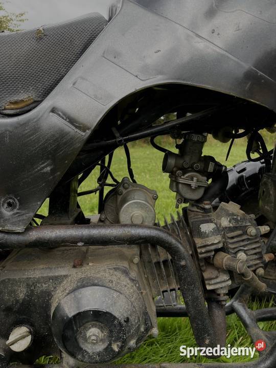 Quad 125 duża rama Pozostałe