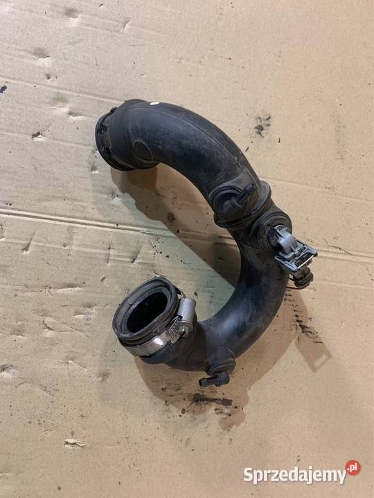 Przewód rura czujnik powietrza 8200290501 Nissan węże chłodnicy Zakopane sprzedam