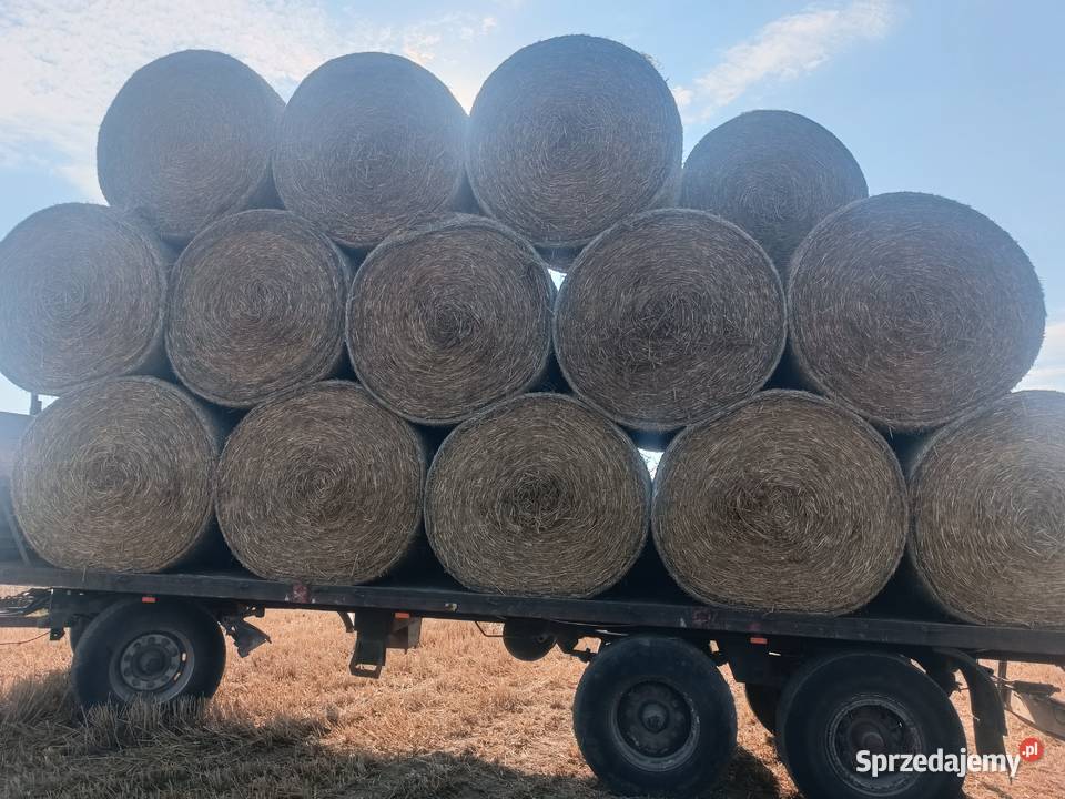 Słoma pezenna w belach Bychawa