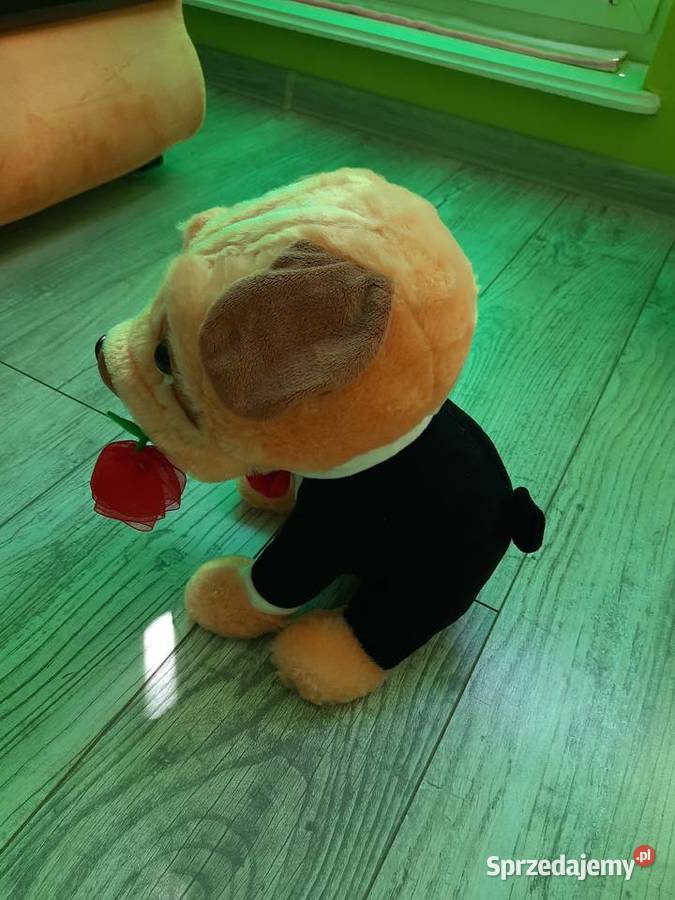 10 pluszaków dzieci Goleniów