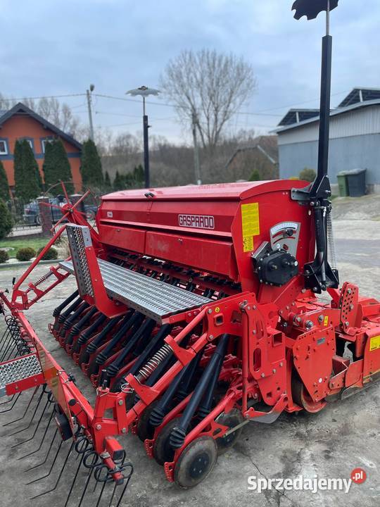 Maschio Gaspardo Dama 3m Kazimierza Wielka