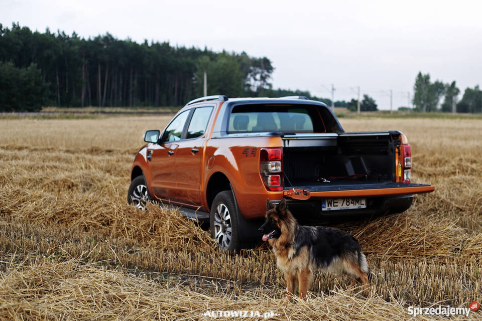 Lotka Zabudowa hardtop Ford Ranger 2015 3 Pasłęk