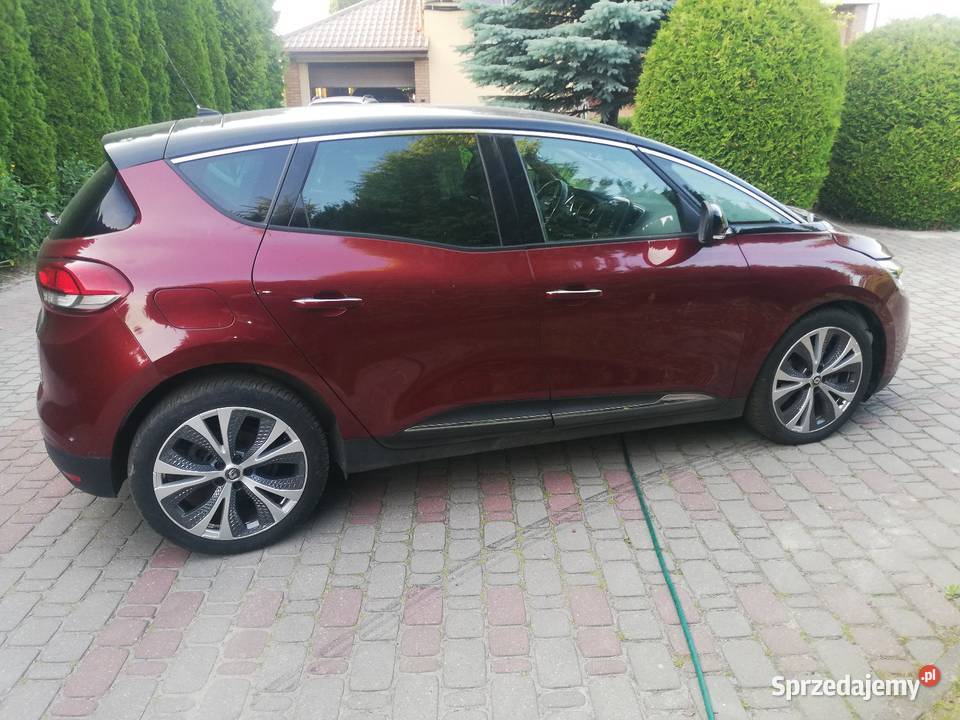 Scenie 4 15 hybryd kamera cofania Lublin