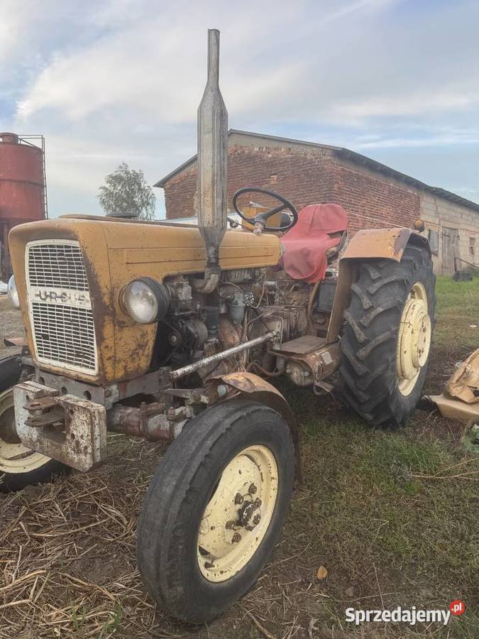 Ursus C330 kujawsko-pomorskie Kanibród