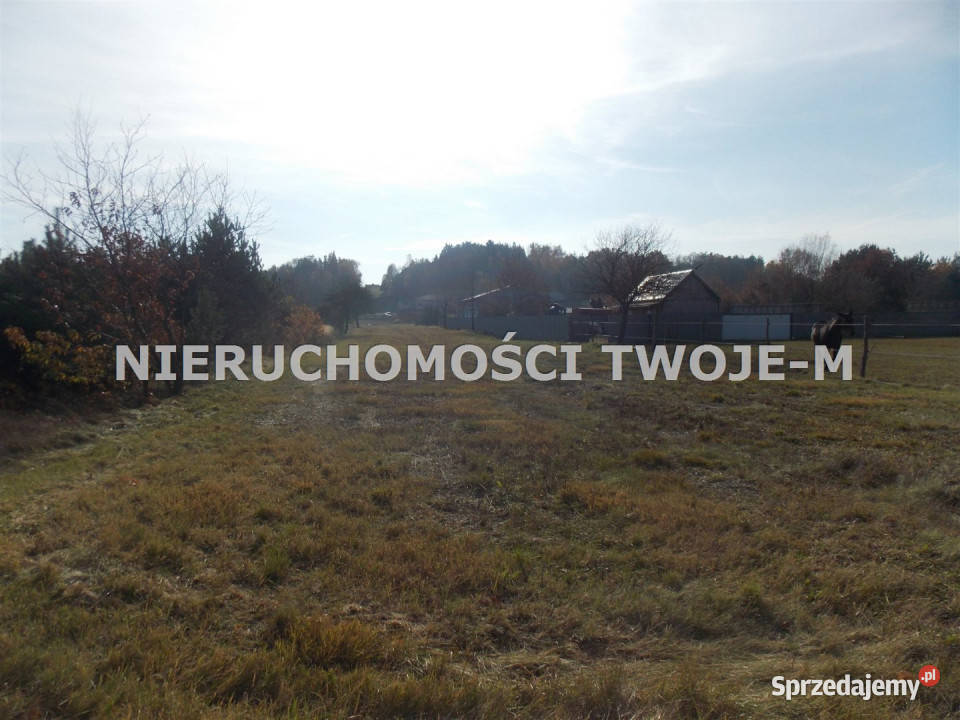 sprzedaży gruntu Kuczów 3300m2