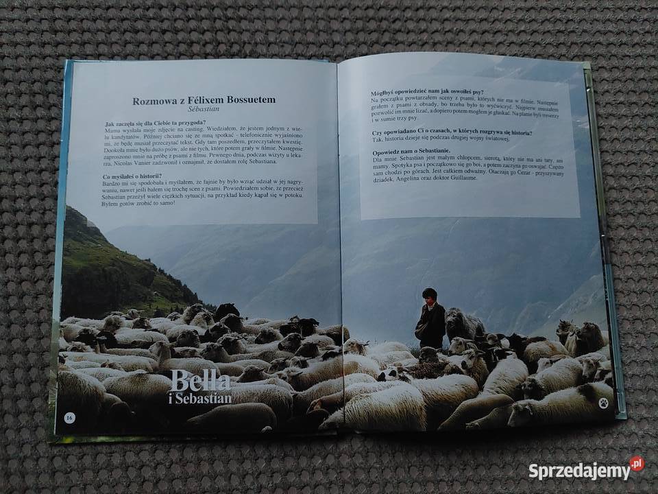 Bella i Sebastian film Nicolasa Vaniera Filmy małopolskie Kraków sprzedam