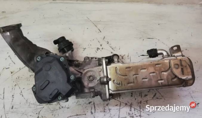 Chłodnica spali Egr Mercedes 22 CDI A6511400360 Pozostałe