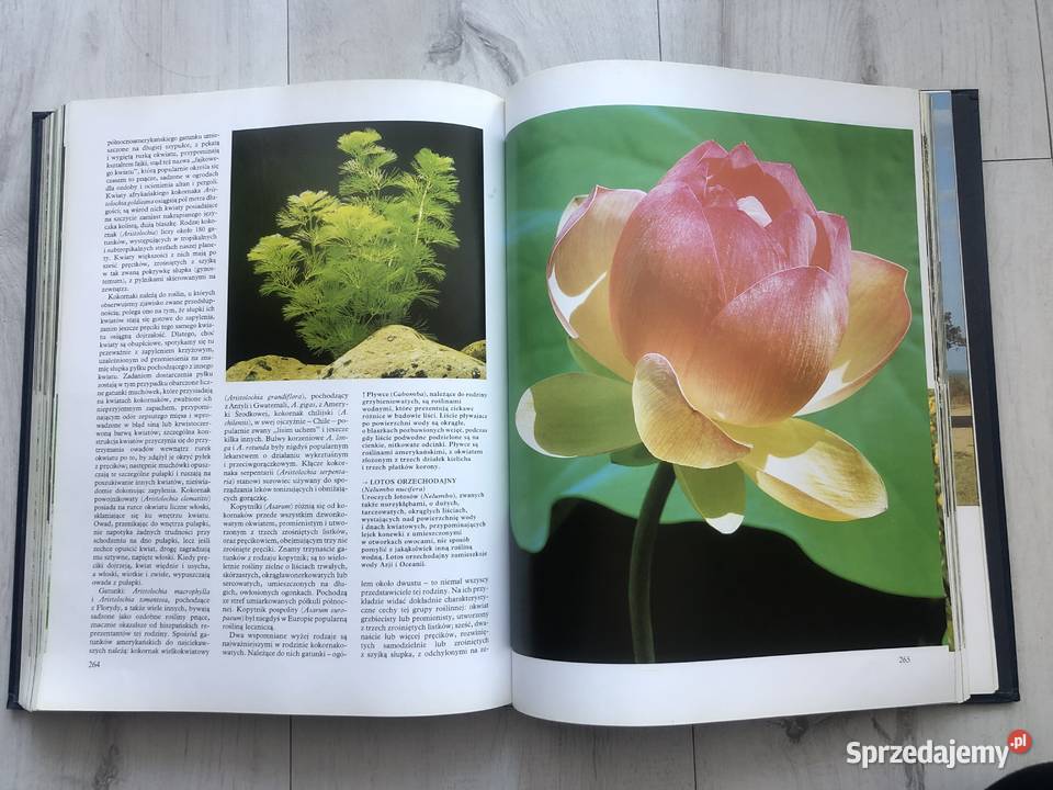 Historia naturalna Botanika Wyd Muza łódzkie