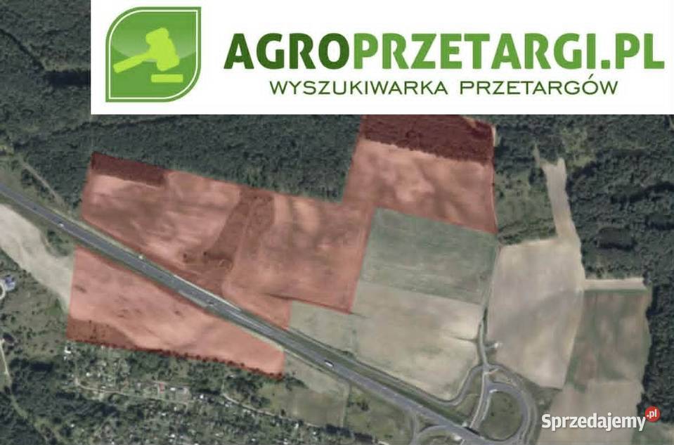 Dzierżawa 2359 ha gruntu rolnego 235900m2 Czarnków sprzedam