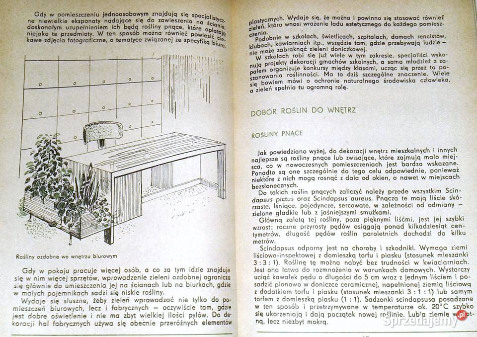 Mieszkanie w zieleni i kwiatach K Muszyński twarda lubelskie Chełm sprzedam