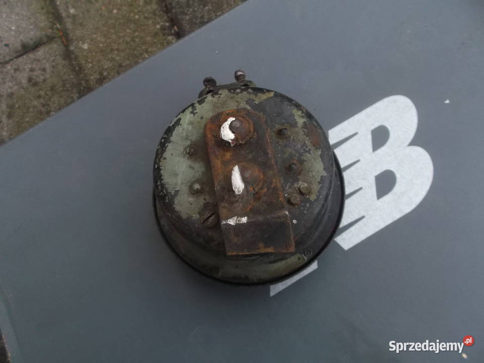 panonia sygnał Ziębice