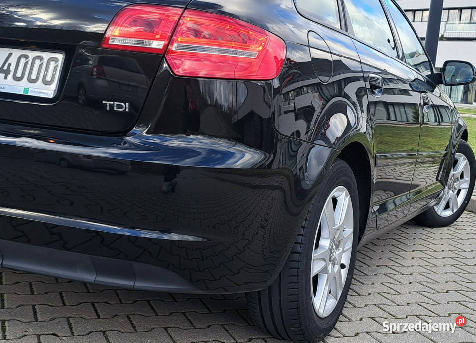 Audi A3 20 COMMON RAiL STAN KLiMAtronik halogeny Olsztyn