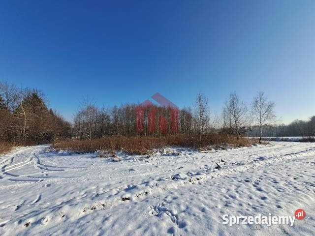 sprzedaży gruntu Żyznów 10400m2 podkarpackie