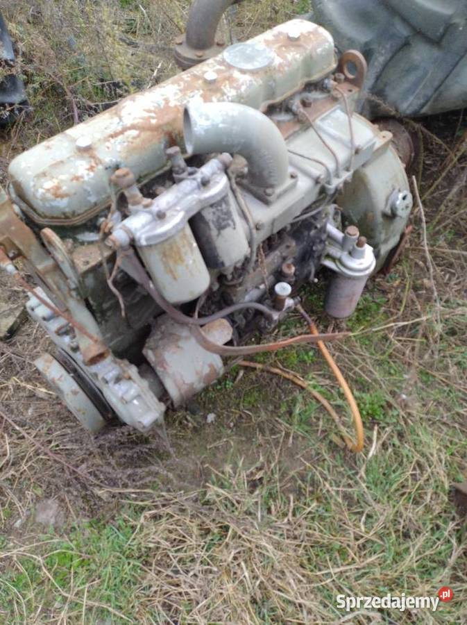 Silnik do bizona Przasnysz